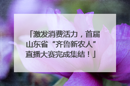 激发消费活力，首届山东省“齐鲁新农人”直播大赛完成集结！