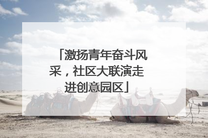 激扬青年奋斗风采，社区大联演走进创意园区