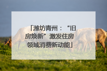潍坊青州：“旧房焕新”激发住房领域消费新动能
