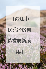 澄江市：民营经济创造发展新成果