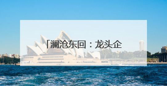澜沧东回：龙头企业引领促民增收