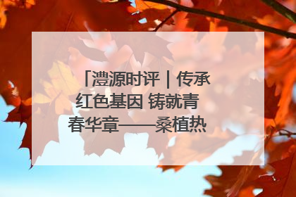 澧源时评｜传承红色基因 铸就青春华章——桑植热土上的青春长征