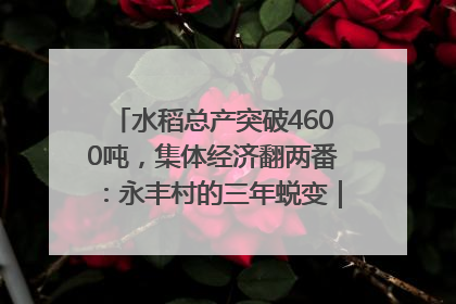 水稻总产突破4600吨，集体经济翻两番：永丰村的三年蜕变｜您牵挂的四川