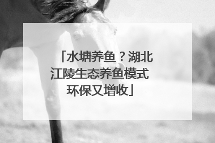 水塘养鱼？湖北江陵生态养鱼模式环保又增收