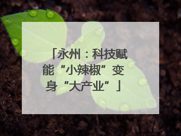 永州：科技赋能“小辣椒”变身“大产业”
