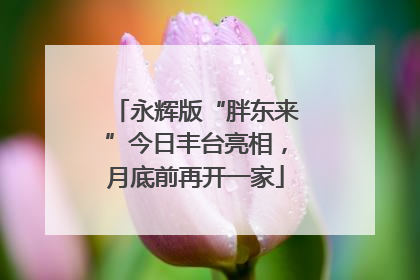 永辉版“胖东来”今日丰台亮相，月底前再开一家