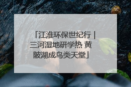 江淮环保世纪行｜三河湿地研学热 黄陂湖成鸟类天堂