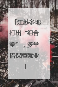江苏多地打出“组合拳”，多举措保障就业