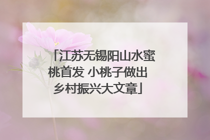 江苏无锡阳山水蜜桃首发 小桃子做出乡村振兴大文章