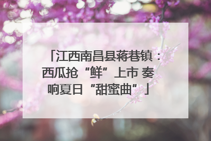江西南昌县蒋巷镇：西瓜抢“鲜”上市 奏响夏日“甜蜜曲”