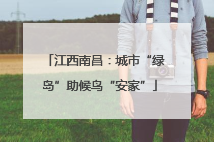江西南昌：城市“绿岛”助候鸟“安家”
