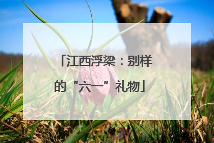 江西浮梁：别样的“六一”礼物
