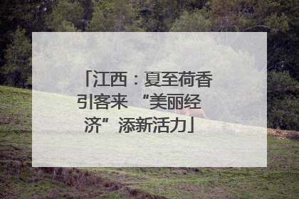 江西：夏至荷香引客来 “美丽经济”添新活力