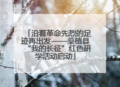 沿着革命先烈的足迹再出发——桑植县“我的长征”红色研学活动启动