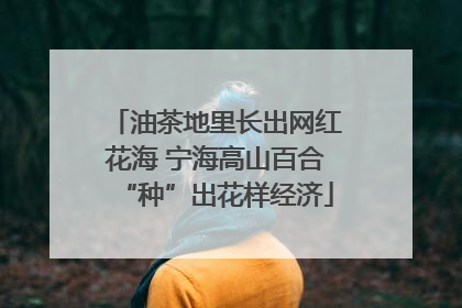 油茶地里长出网红花海 宁海高山百合“种”出花样经济