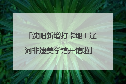 沈阳新增打卡地！辽河非遗美学馆开馆啦