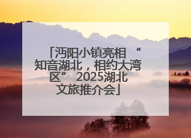 沔阳小镇亮相 “知音湖北，相约大湾区” 2025湖北文旅推介会