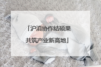 沪滇协作结硕果 共筑产业新高地