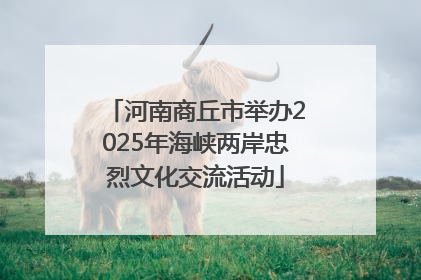 河南商丘市举办2025年海峡两岸忠烈文化交流活动