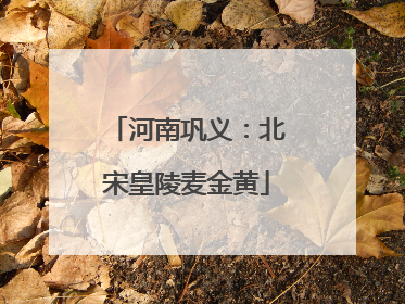 河南巩义：北宋皇陵麦金黄