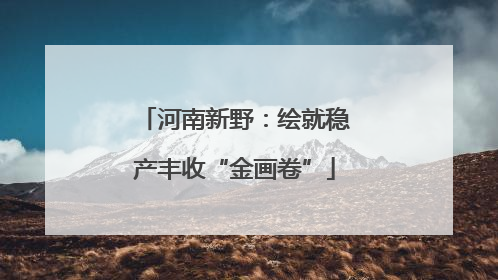 河南新野：绘就稳产丰收“金画卷”