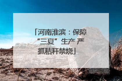 河南淮滨：保障“三夏”生产 严抓秸秆禁烧
