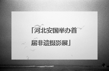 河北安国举办首届非遗摄影展