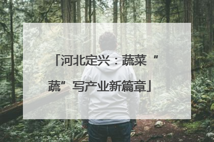河北定兴：蔬菜“蔬”写产业新篇章