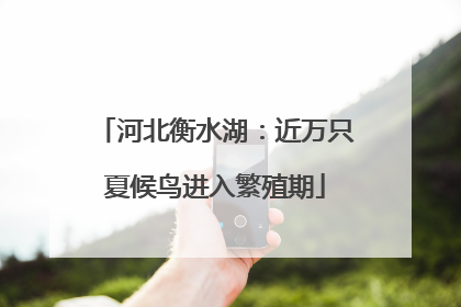 河北衡水湖：近万只夏候鸟进入繁殖期