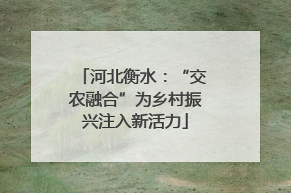 河北衡水：“交农融合”为乡村振兴注入新活力