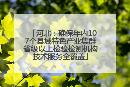 河北：确保年内107个县域特色产业集群省级以上检验检测机构技术服务全覆盖