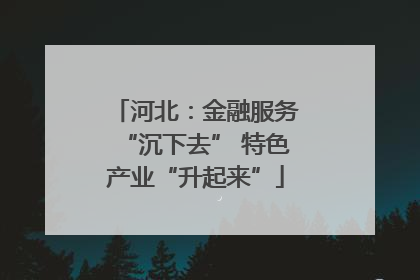 河北:金融服务“沉下去” 特色产业“升起来”