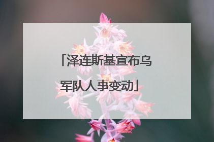泽连斯基宣布乌军队人事变动