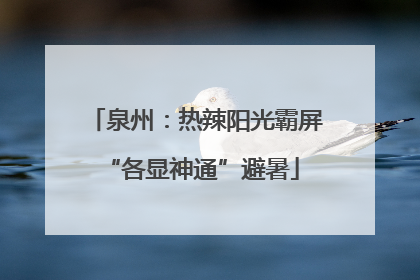 泉州：热辣阳光霸屏 “各显神通”避暑