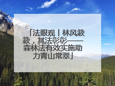法眼观丨林风簌簌，其法彰彰——森林法有效实施助力青山常翠