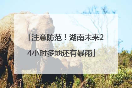注意防范！湖南未来24小时多地还有暴雨