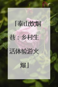 泰山炊烟巷：乡村生活体验游火爆
