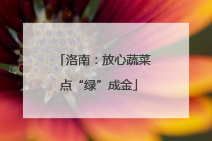 洛南：放心蔬菜点“绿”成金