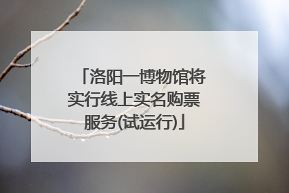 洛阳一博物馆将实行线上实名购票服务(试运行)