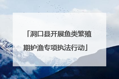 洞口县开展鱼类繁殖期护渔专项执法行动