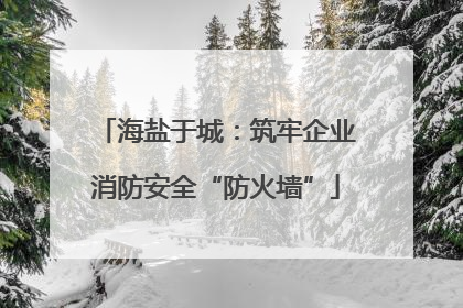 海盐于城：筑牢企业消防安全“防火墙”