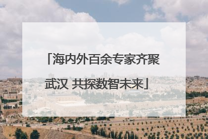 海内外百余专家齐聚武汉 共探数智未来