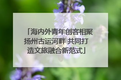 海内外青年创客相聚扬州古运河畔 共同打造文旅融合新范式