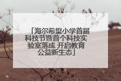海尔希望小学首届科技节暨首个科技实验室落成 开启教育公益新生态