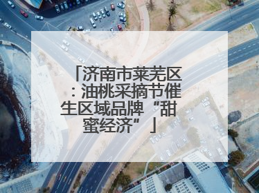 济南市莱芜区：油桃采摘节催生区域品牌“甜蜜经济”