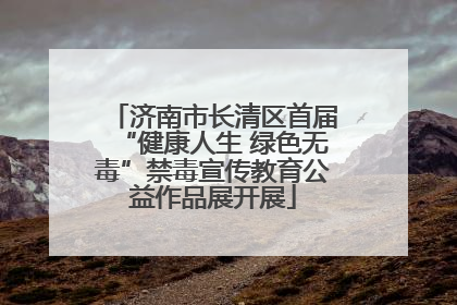 济南市长清区首届“健康人生 绿色无毒”禁毒宣传教育公益作品展开展