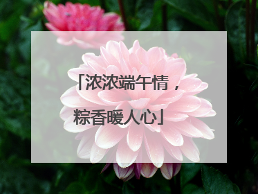 浓浓端午情，粽香暖人心