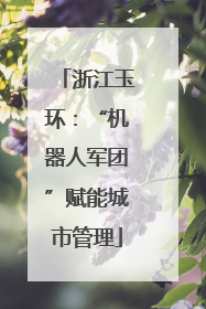 浙江玉环：“机器人军团”赋能城市管理