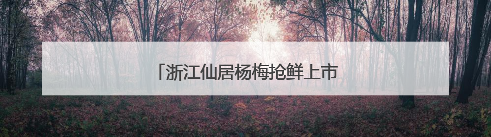 浙江仙居杨梅抢鲜上市 小水果闯出大产业