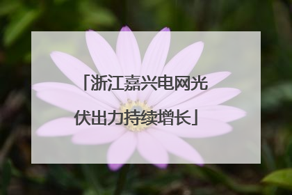 浙江嘉兴电网光伏出力持续增长